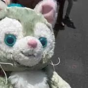 チャーリー