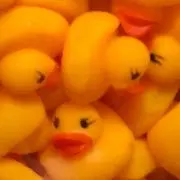 ひなママの画像