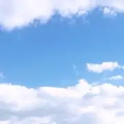 7の画像