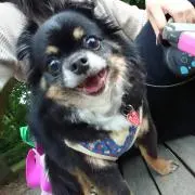 さりまる
