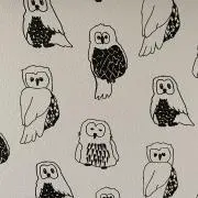 ぴょんの画像