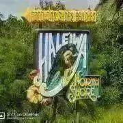 GREENの画像