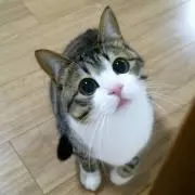 たぁ
