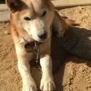 そらの画像