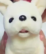 さっちゃん