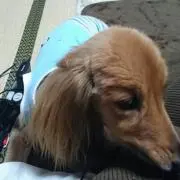 たかひ