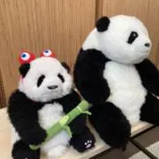 シェリーの画像