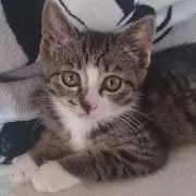 ミミーの画像