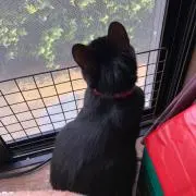 すぴっと