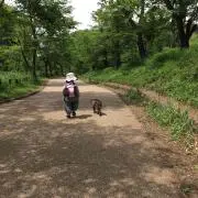 さくしゅう