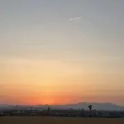 いぬの画像