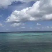 かえの画像