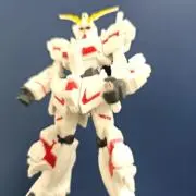 木公ちゃんの画像
