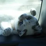 みじゅな