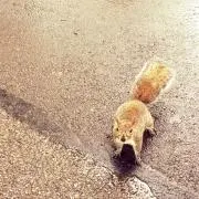 るいの画像