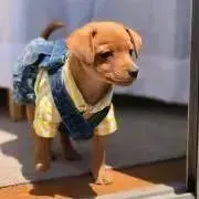 カラヤン