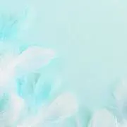 ✧Wing‪✧プロフ必読(⋆ᴗ͈ˬᴗ͈)の画像