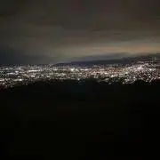 アラの画像