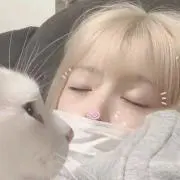 なの画像
