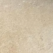 ねずみ