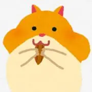 さっちゃんの画像