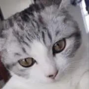 kakuzouの画像