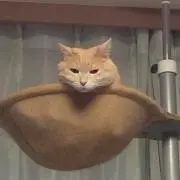 みゆき