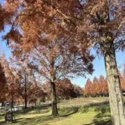 as3*希望額交渉可能です◎の画像