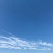 らふんの画像