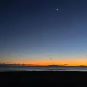 たむの画像