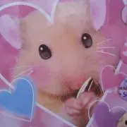 ☆クリーム☆の画像