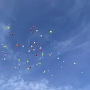 yoiの画像