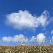モカ⭕️私のコーナー覗いてね‼️の画像