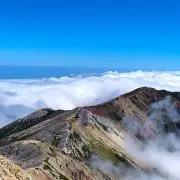 メロディの画像
