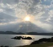 popoの画像