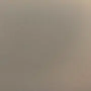 トトロ