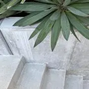 Natuの画像