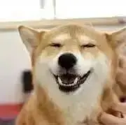 あんじ★最初にご一読くださいの画像