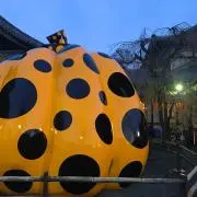 SLTの画像