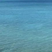 もこ ＊ プロフ一読推奨の画像