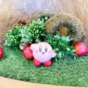 ユウ