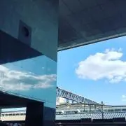 くらげさん【即購入⭕️】の画像