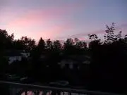 Rinの画像