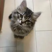 海ちゃんの画像