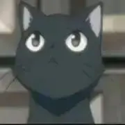 チョビの画像