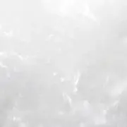いの画像