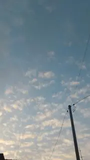 のんの画像