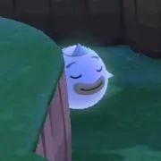 だまんとひひの画像