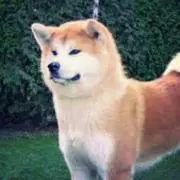 ゲッツ      287｜520｜710の画像