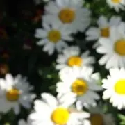 購入しないようお願いします